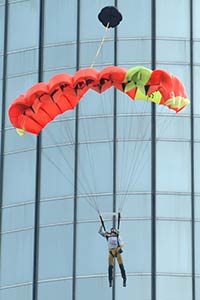 Douggs www.basedreams.com